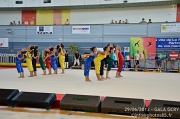 DSC_6304