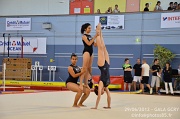 DSC_6567