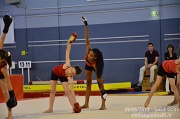 DSC_6811