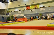 DSC_7281