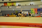 DSC_7382