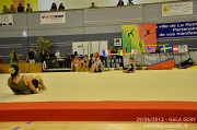 DSC_7383