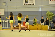 DSC_7411