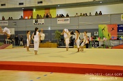 DSC_7510