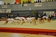 DSC_7548