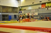 DSC_7572