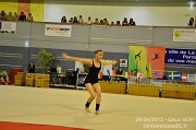 DSC_7664