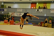 DSC_7667