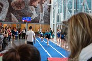 IMG_1986